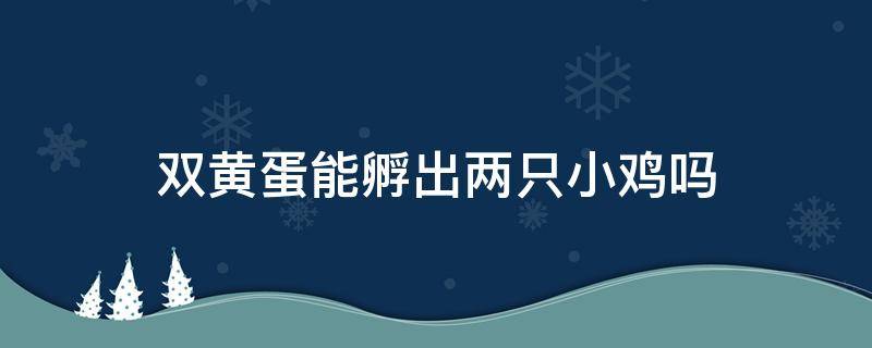 双黄蛋能孵出两只小鸡吗 双黄蛋能孵出两只小鸡吗小论文