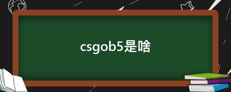 csgob5是啥（CSGOb5是什么）