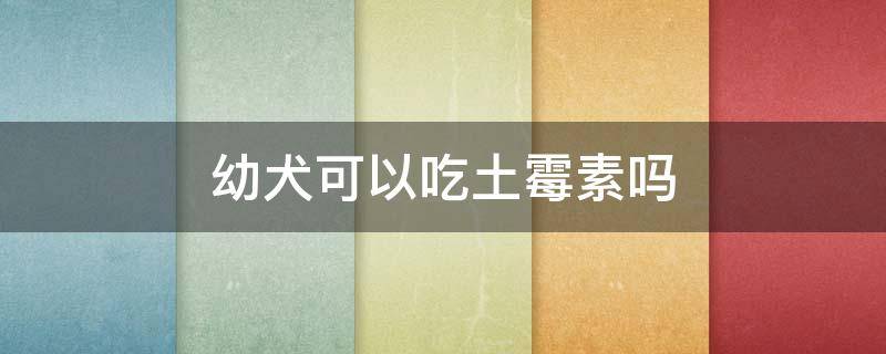 幼犬可以吃土霉素吗 幼犬能吃土霉素吗