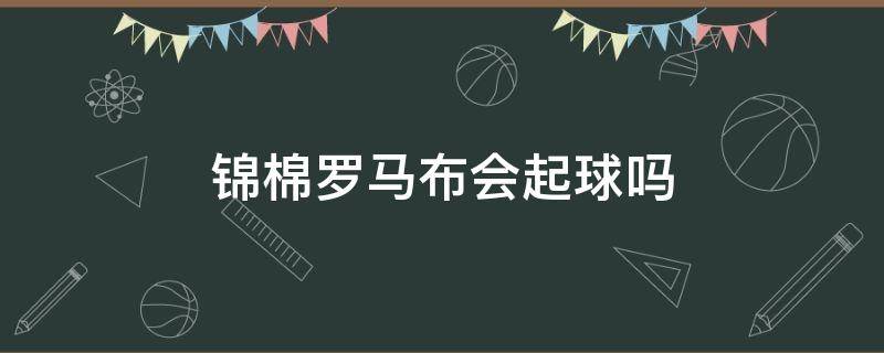 锦棉罗马布会起球吗 棉棉罗马布会不会起球