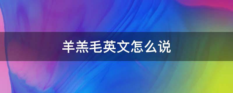 羊羔毛英文怎么说（羊羔毛的英文怎么写）