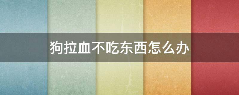 狗拉血不吃东西怎么办 狗拉血不吃东西怎么办吃什么药