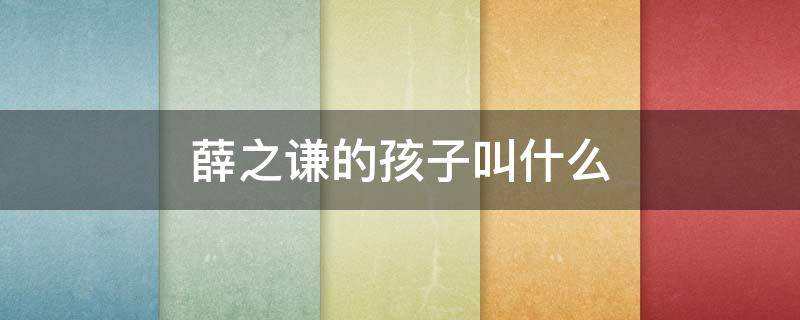 薛之谦的孩子叫什么 薛之谦几个小孩