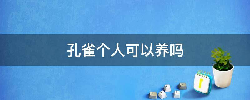 孔雀个人可以养吗 孔雀个人能养吗