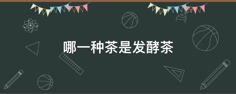 哪一种茶是发酵茶 什么茶是发酵类的茶