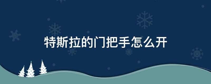 特斯拉的门把手怎么开(特斯拉的门车把手怎么开)