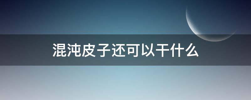 混沌皮子还可以干什么(混沌皮子用什么做)