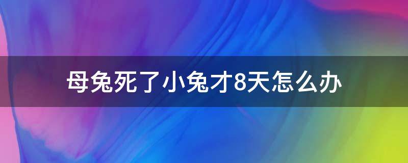 母兔死了小兔才8天怎么办（出生7天小兔母兔死亡能活吗）