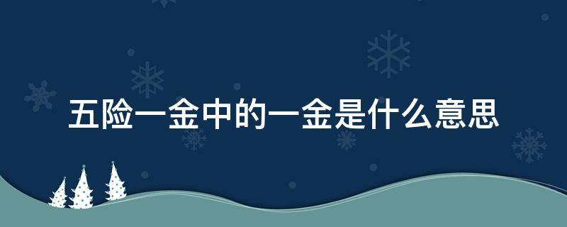 五险一金中的一金是什么意思 五险一金中的一金是什么意思用途