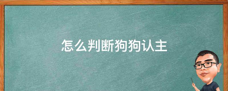 怎么判断狗狗认主（狗狗怎么算认主的表现）