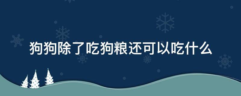 狗狗除了吃狗粮还可以吃什么 狗狗除了吃狗粮还可以吃什么补充营养