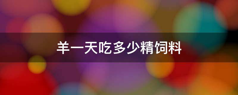 羊一天吃多少精饲料 一只羊一天吃多少精饲料