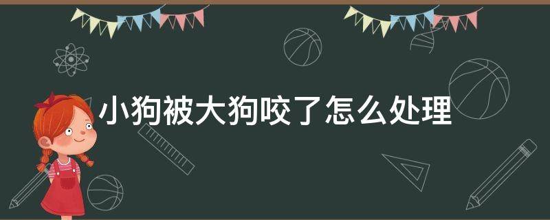 小狗被大狗咬了怎么处理（小狗被大狗咬了怎么处理伤口?）