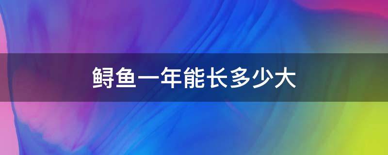 鲟鱼一年能长多少大 鲟鱼多长时间能长大