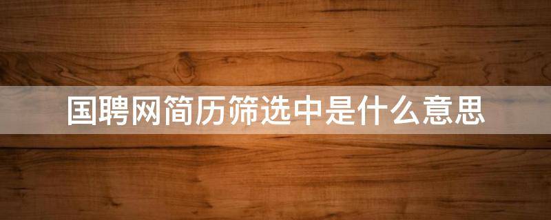 国聘网简历筛选中是什么意思（国企招聘怎么筛选简历）