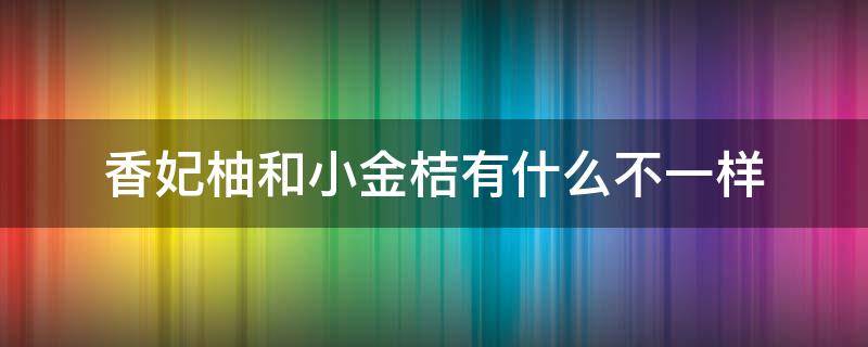 香妃柚和小金桔有什么不一样（金香柚和葡萄柚）