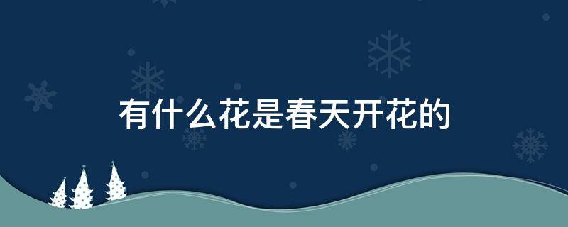 有什么花是春天开花的 什么花是春天开花的?