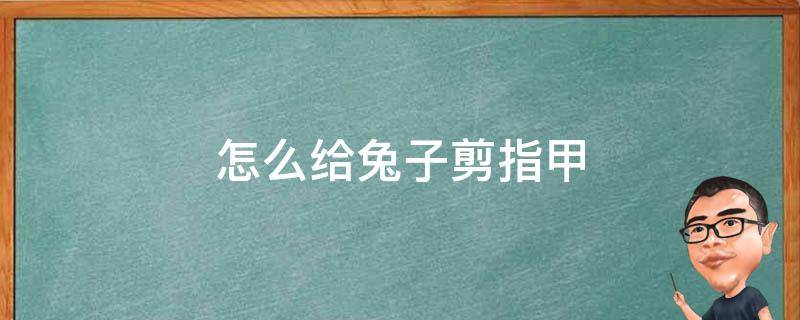 怎么给兔子剪指甲 怎么给兔子剪指甲老是跑