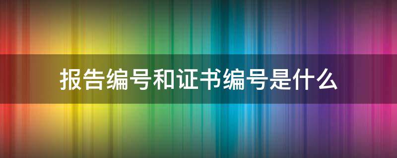 报告编号和证书编号是什么 报告编号与证书编号分别是什么