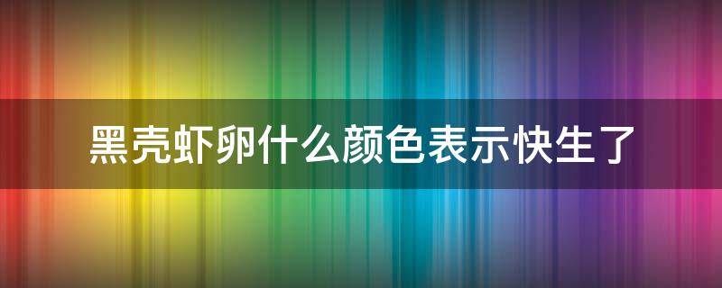 黑壳虾卵什么颜色表示快生了 黑壳虾是生卵还是生小虾