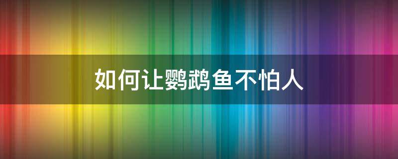 如何让鹦鹉鱼不怕人（什么鱼能让鹦鹉害怕）