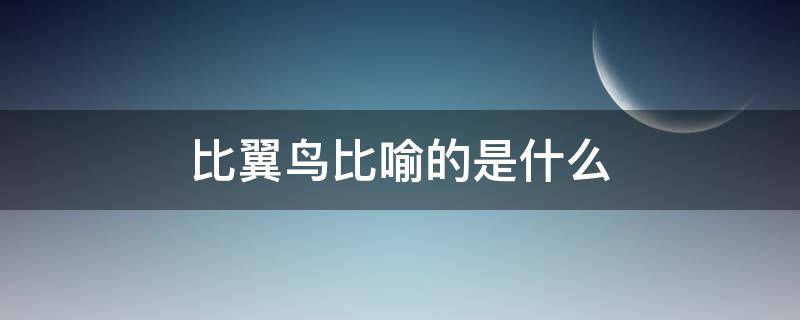 比翼鸟比喻的是什么 比比翼鸟比喻什么