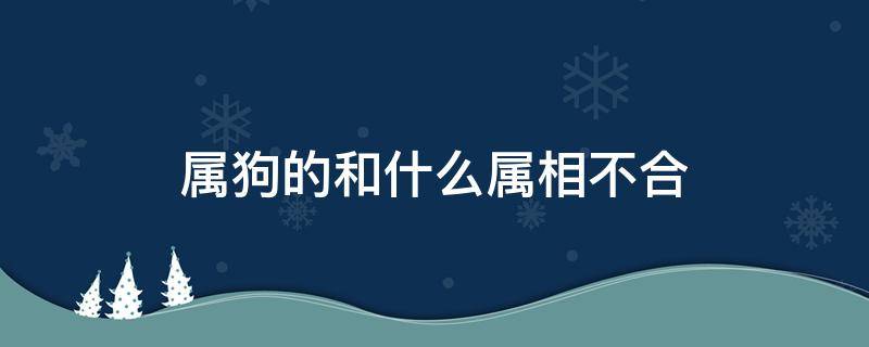 属狗的和什么属相不合（属狗的和什么属相不合适）