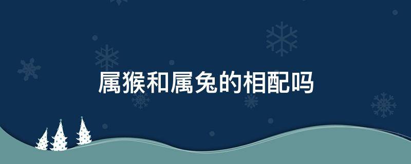 属猴和属兔的相配吗 属猴的和兔的相配吗