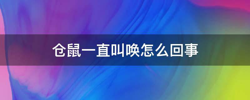 仓鼠一直叫唤怎么回事（仓鼠总叫唤怎么回事）