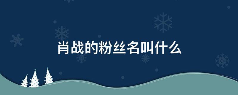 肖战的粉丝名叫什么 王一博和肖战的粉丝名叫什么