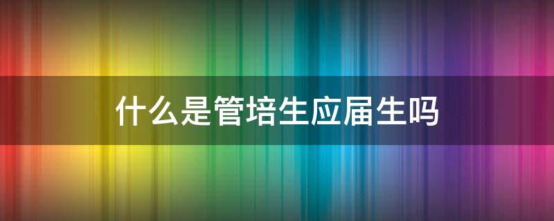 什么是管培生应届生吗 应届管培生是什么意思