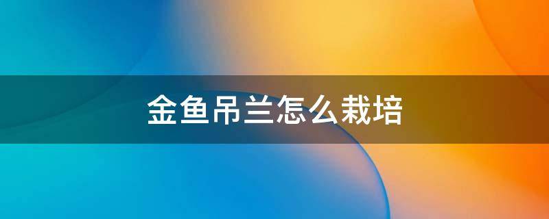 金鱼吊兰怎么栽培 金鱼吊兰栽培技术