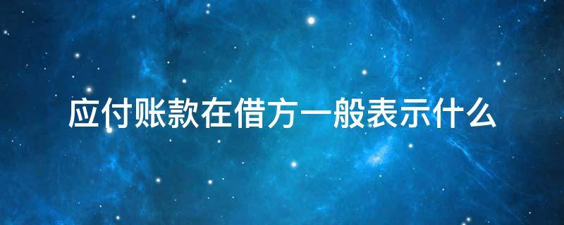 应付账款在借方一般表示什么 应付账款在借方的意思