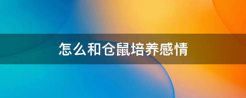 怎么和仓鼠培养感情 怎样和仓鼠培养感情