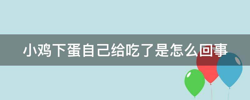 小鸡下蛋自己给吃了是怎么回事 小鸡下完蛋自己吃了是怎么回事