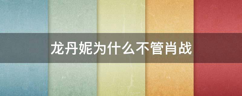 龙丹妮为什么不管肖战（龙丹妮跟肖战是什么关系）