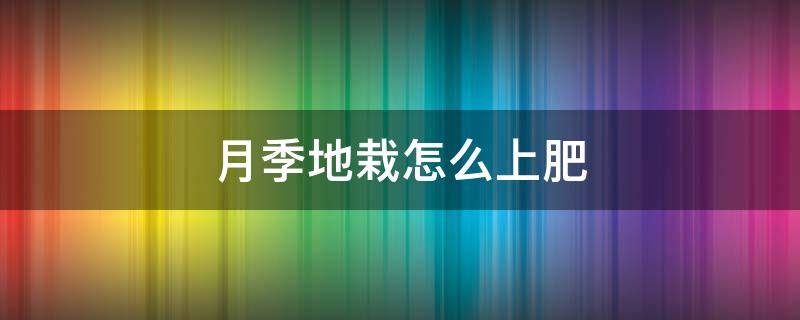 月季地栽怎么上肥 栽月季用什么底肥