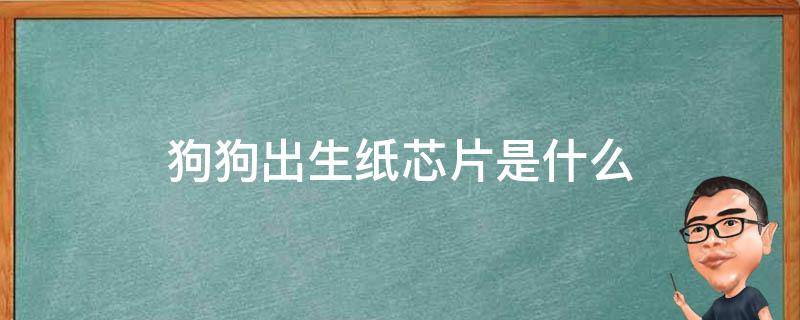 狗狗出生纸芯片是什么 小狗出生纸和芯片多久能办下来