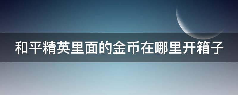 和平精英里面的金币在哪里开箱子 和平精英中的金币在哪里开宝箱