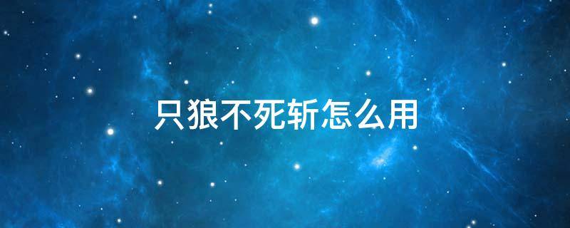 只狼不死斩怎么用 只狼不死斩用不了