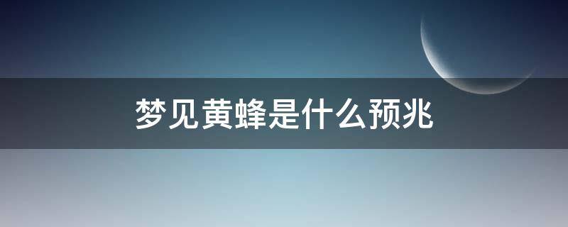 梦见黄蜂是什么预兆（梦见黄蜜蜂是什么预兆）