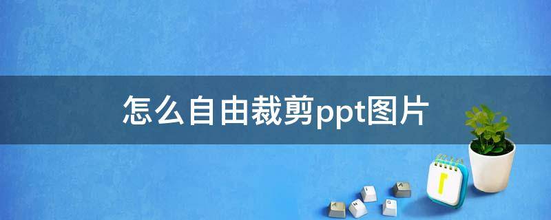 怎么自由裁剪ppt图片 ppt如何自由裁剪图片形状