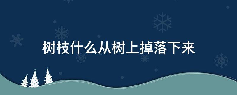 树枝什么从树上掉落下来 树枝什么从树上掉落下来填空