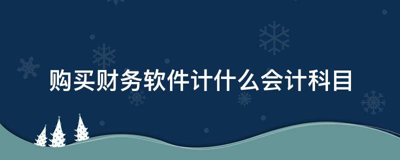 购买财务软件计什么会计科目 财务软件属于什么会计科目