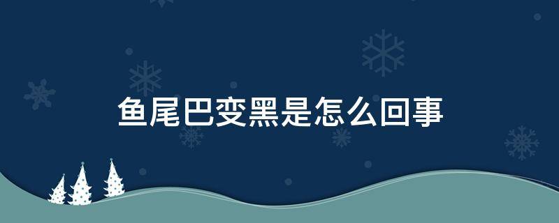 鱼尾巴变黑是怎么回事 鱼尾变黑是什么原因