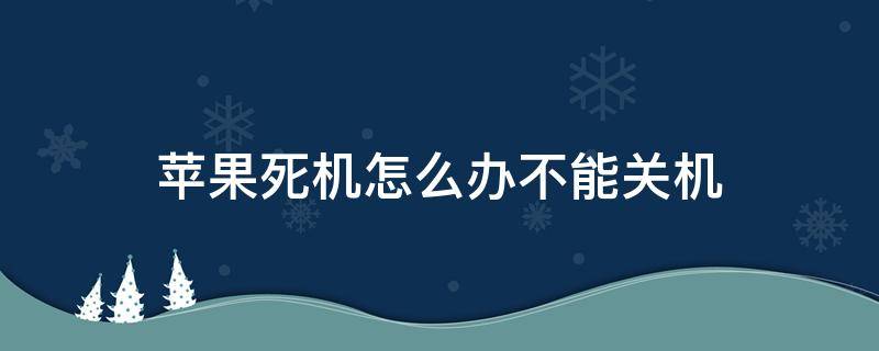 苹果死机怎么办不能关机（苹果手机死机不能关机）