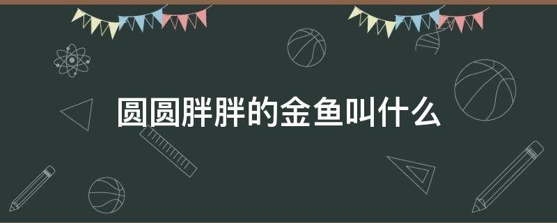 圆圆胖胖的金鱼叫什么 圆圆胖胖的鱼叫什么名字