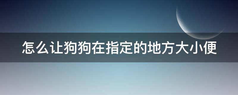 怎么让狗狗在指定的地方大小便 训练狗狗大小便的方法