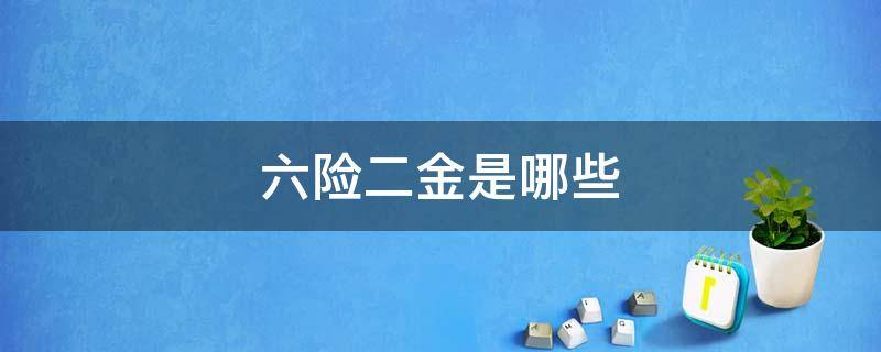 六险二金是哪些 六险二金是哪六险二金