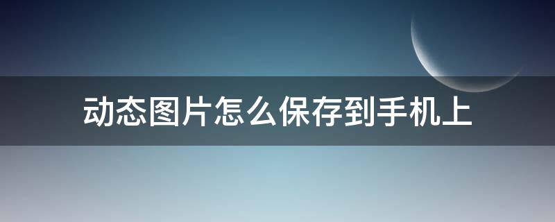 动态图片怎么保存到手机上（怎么把网上的动图保存到手机）